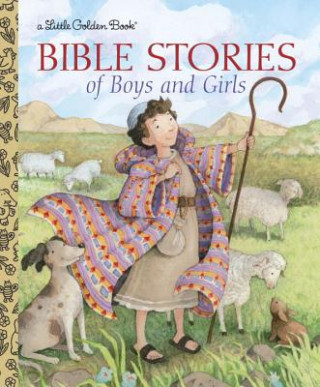 Kniha Bible Stories of Boys and Girls Christin Ditchfield