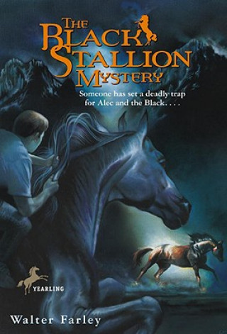 Kniha Black Stallion Mystery Walter Farley