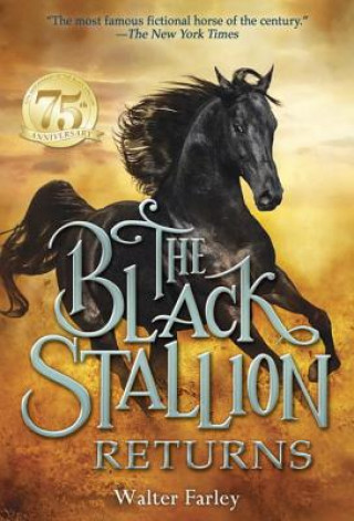 Książka Black Stallion Returns Walter Farley