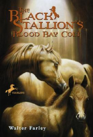 Carte Black Stallion's Blood Bay Colt Farley