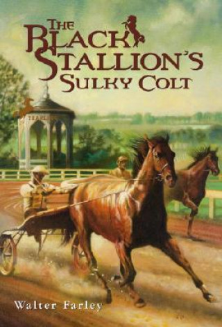 Carte Black Stallion's Sulky Colt Walter Farley
