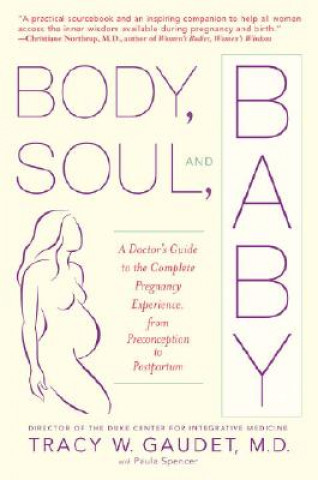 Kniha Body, Soul and Baby Paula Spencer