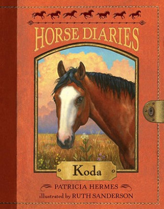 Book Koda HERMES  PATRICI