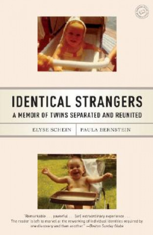 Buch Identical Strangers SCHEIN  ELYSE