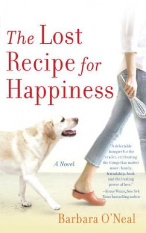 Kniha Lost Recipe for Happiness Barbara O'Neal