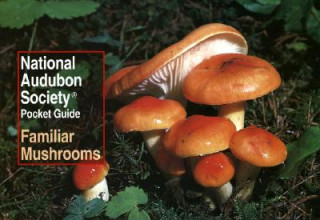 Kniha National Audubon Society Pocket Guide: Familiar Mushrooms Katsaros