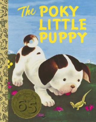 Kniha LGB Board Bk: The Poky Little Puppy Janette Sebring Lowery