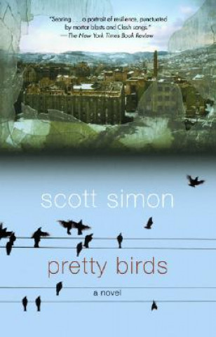Libro PRETTY BIRDS SIMON  SCOTT
