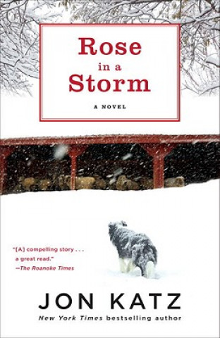 Könyv Rose in a Storm Jon Katz