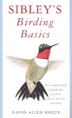 Kniha Sibley's Birding Basics David Allen Sibley