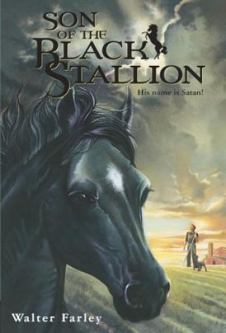 Книга Son of the Black Stallion Walter Farley