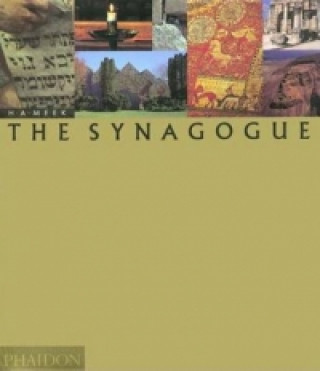 Knjiga Synagogue Harold Meek