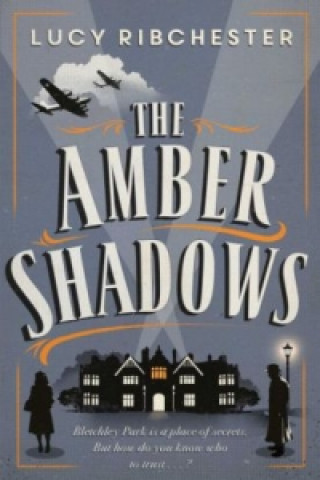 Libro Amber Shadows LUCY RIBCHESTER