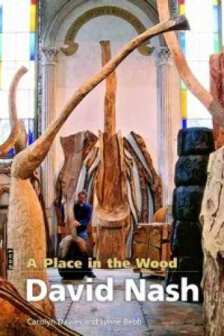 Kniha Place in the Wood, A - David Nash Lynne Bebb
