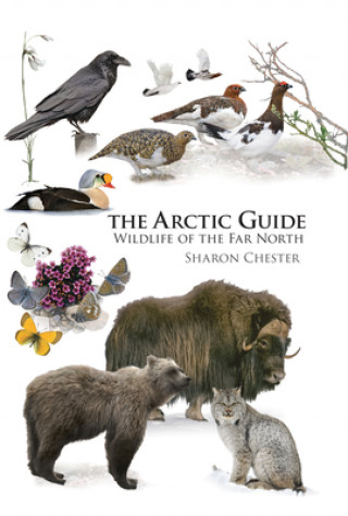 Kniha Arctic Guide CHESTER