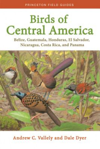 Book Birds of Central America VALLELY