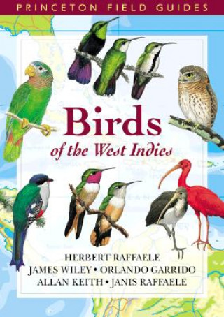 Kniha Birds of the West Indies Janis I. Raffaele