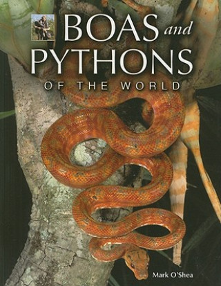 Książka Boas and Pythons of the World Mark O'Shea
