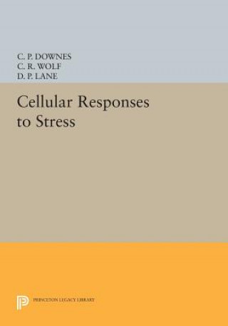 Buch Cellular Responses to Stress Downes