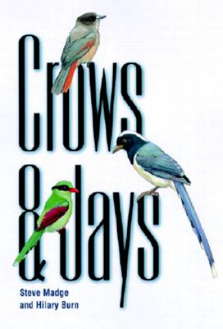 Kniha Crows and Jays Hilary Burn