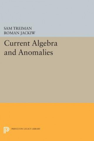 Книга Current Algebra and Anomalies Treiman