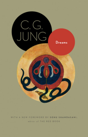 Kniha Dreams C. G. Jung