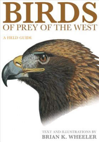 Könyv Birds of Prey of the West BK Wheeler