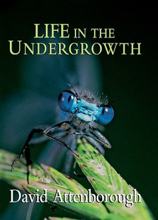 Könyv Life in the Undergrowth Sir David Attenborough