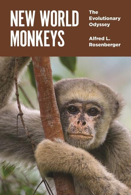 Книга New World Monkeys ROSENBERGER
