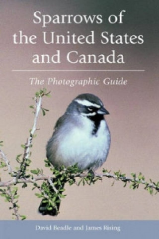 Kniha Sparrows of the United States and Canada James D. Rising