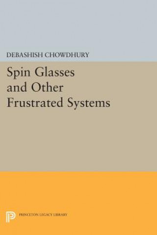 Książka Spin Glasses and Other Frustrated Systems D Chowdhury