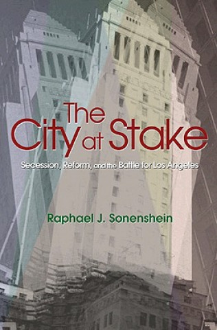 Книга City at Stake Raphael J. Sonenshein