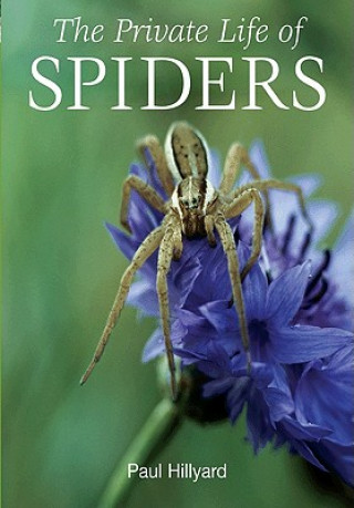 Könyv Private Life of Spiders Paul Hillyard