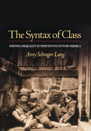 Kniha Syntax of Class Amy Schrager Lang