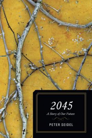 Livre 2045 Peter Seidel