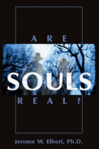 Könyv Are Souls Real? Jerome W. Elbert