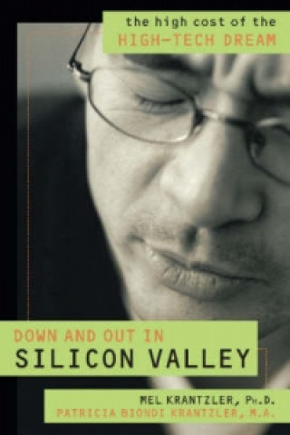 Книга Down and Out in Silicon Valley Patricia B. Krantzler