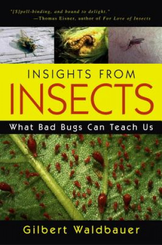 Könyv Insights From Insects Dr. Gilbert Waldbauer