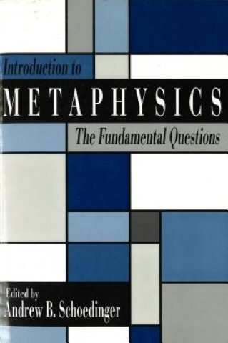 Книга Introduction to Metaphysics Andrew B. Schoedinger