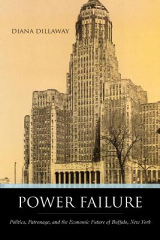 Książka Power Failure Diana Dillaway
