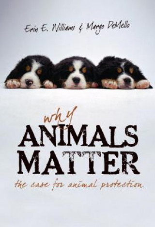Knjiga Why Animals Matter Margo DeMello
