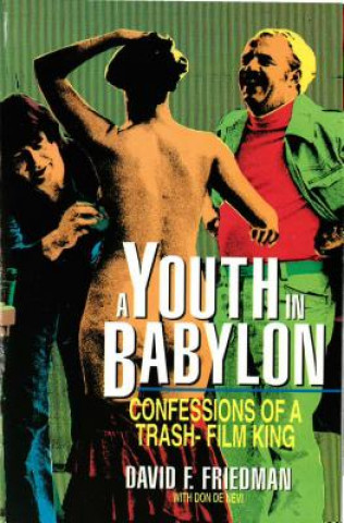Kniha Youth in Babylon Don Denevi