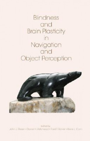 Kniha Blindness and Brain Plasticity in Navigation and Object Perception 