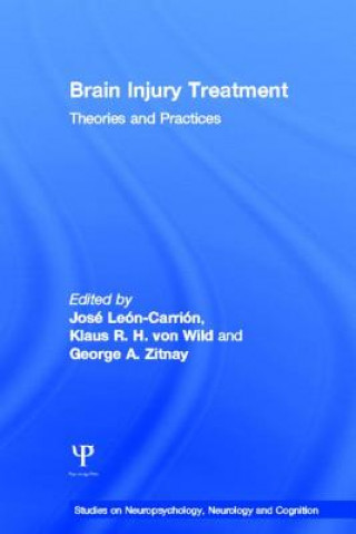 Carte Brain Injury Treatment Jose Leon-Carrion