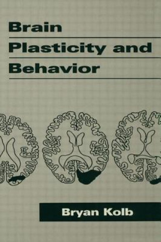 Knjiga Brain Plasticity and Behavior Bryan Kolb