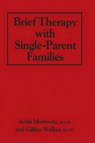 Kniha Brief Therapy With Single-Parent Families Gillian A. Walker