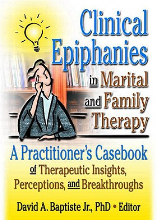 Kniha Clinical Epiphanies in Marital and Family Therapy 