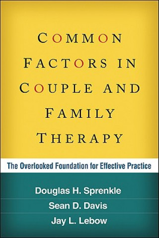 Książka Common Factors in Couple and Family Therapy Jay L. Lebow