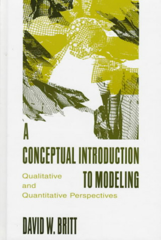 Kniha Conceptual Introduction To Modeling David W. Britt