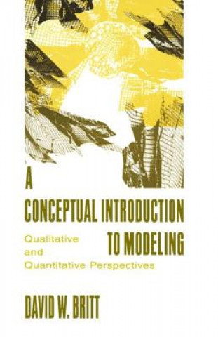 Carte Conceptual Introduction To Modeling David W. Britt